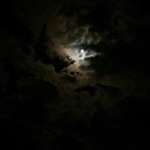 Meet your Posher, Joel